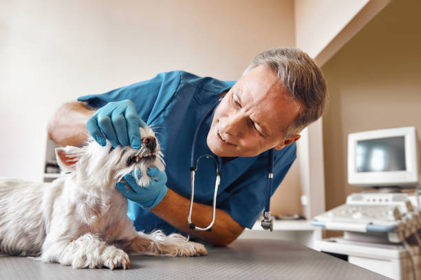 , WV Emergency Dental Service Company